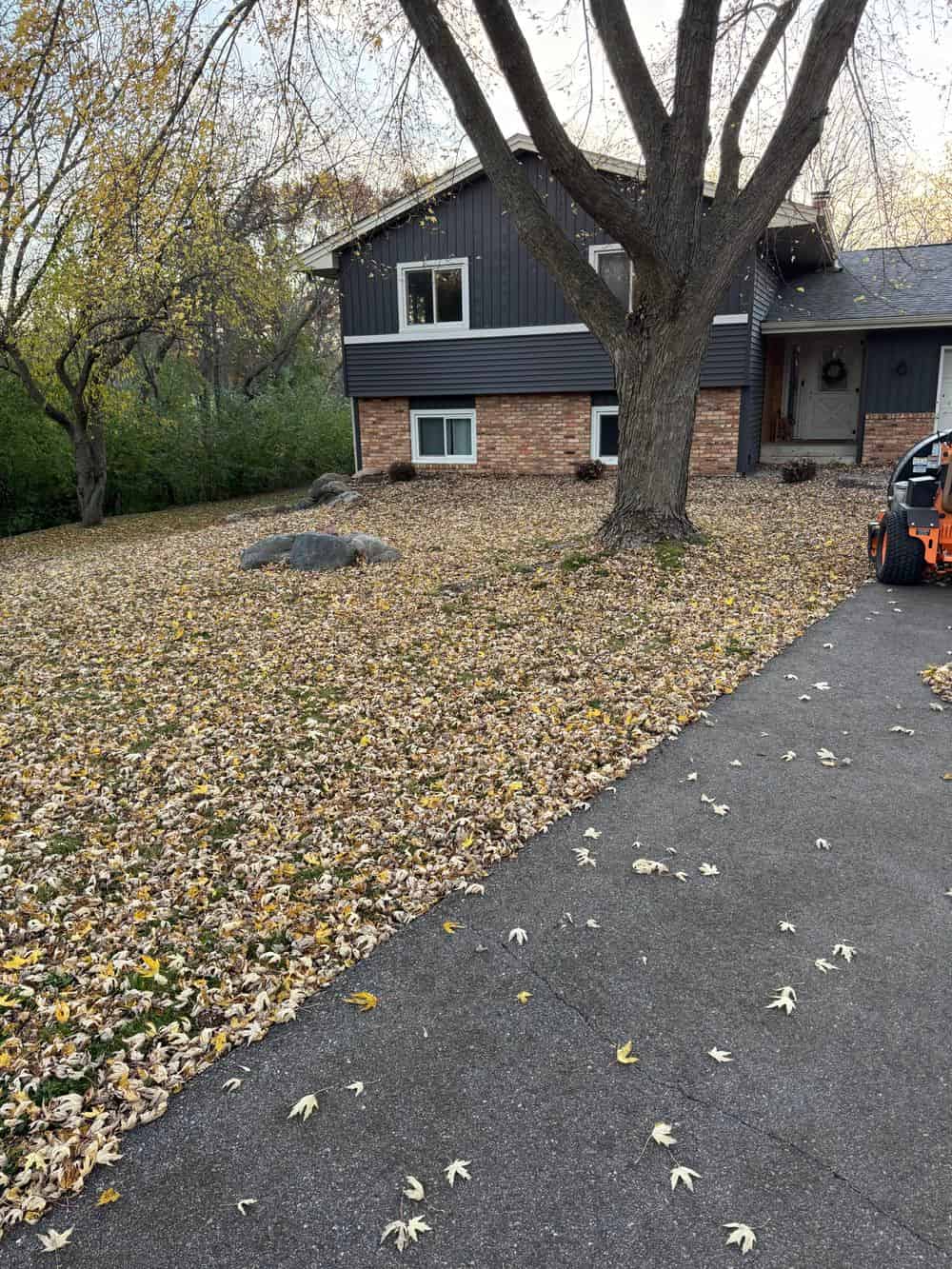 Seasonal Yard & Leaf Cleanup image