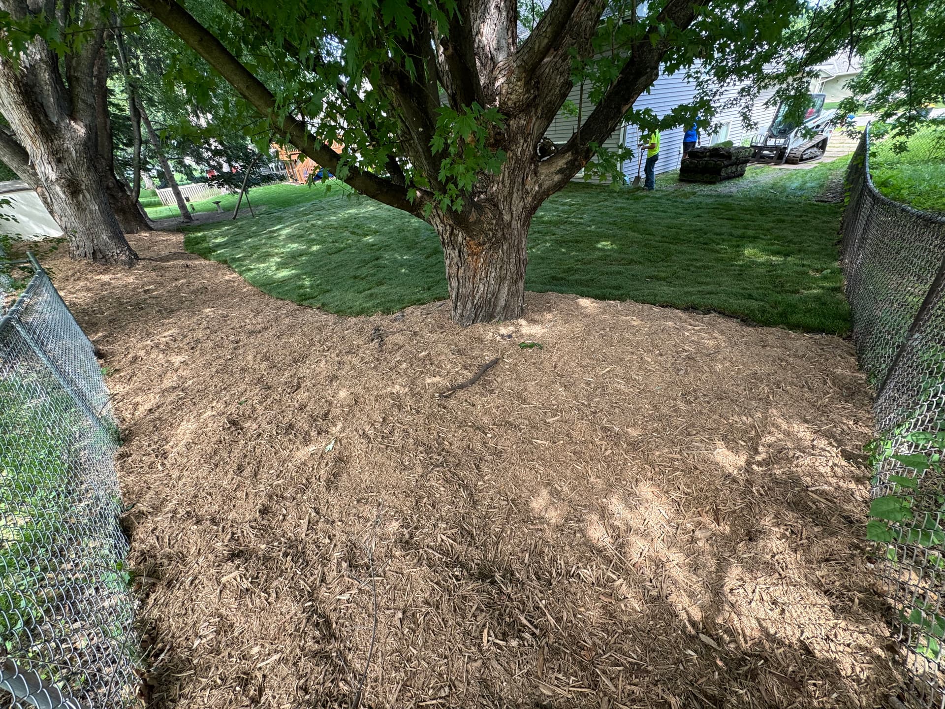 Sod Installation and Landscaping Success in Lakeville