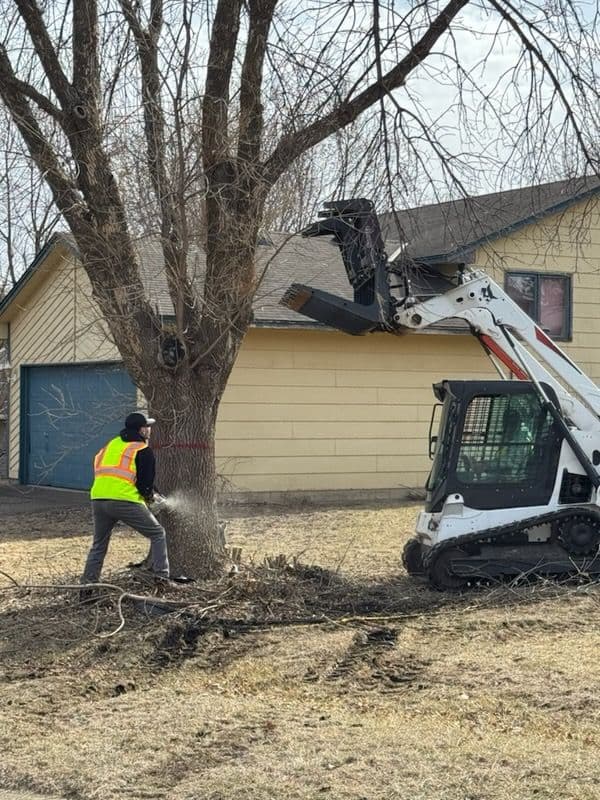 Safe and Efficient Winter Tree Services with All Terrain Construction